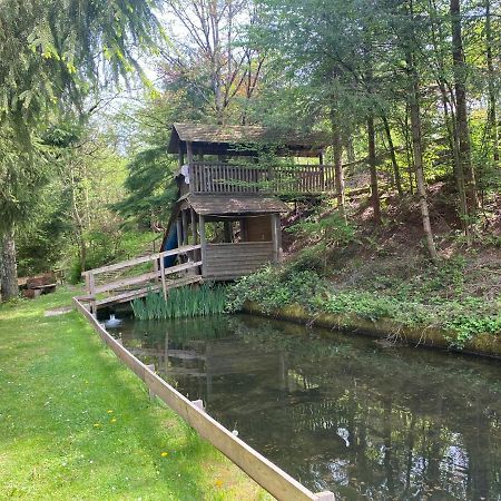 Hotel-Restaurant Theis-Muehle Biersdorf Buitenkant foto